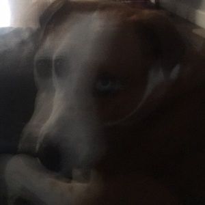 Meet your Posher, Chrisitne